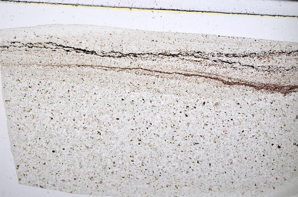 Plane Polarized, E51365/B