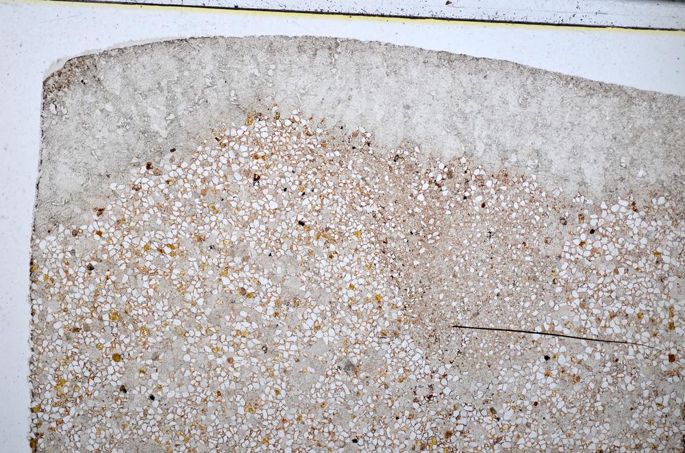 Plane Polarized, E51370/A