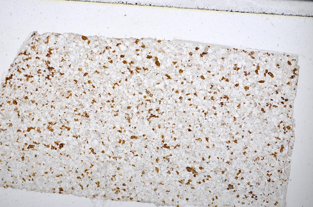 Plane Polarized, E51371/B