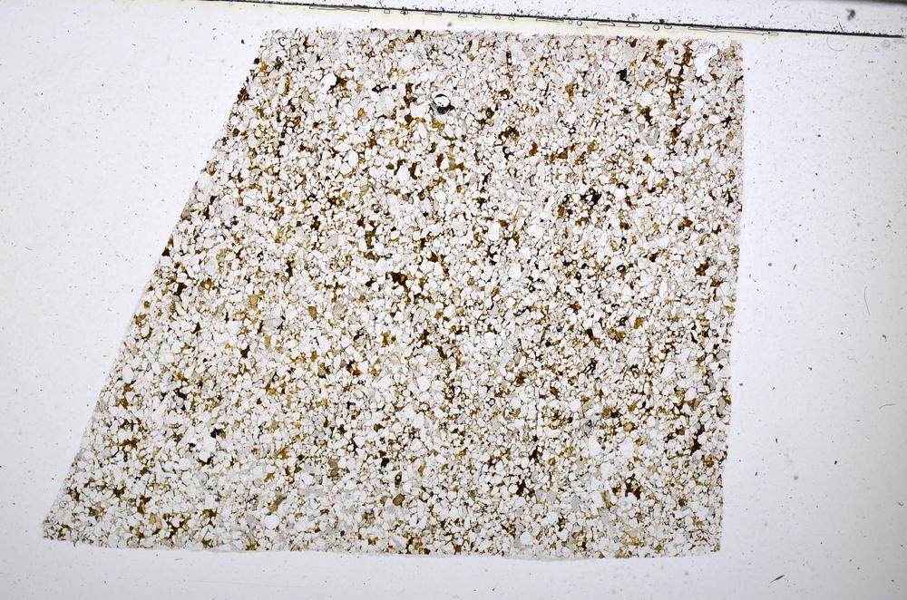 Plane Polarized, E51398