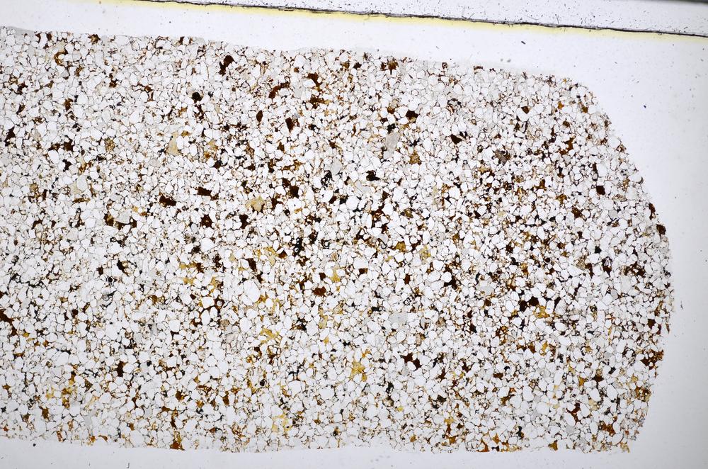 Plane Polarized, E51399