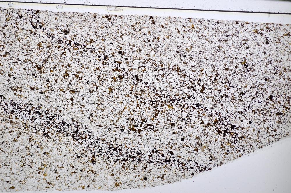 Plane Polarized, E51401