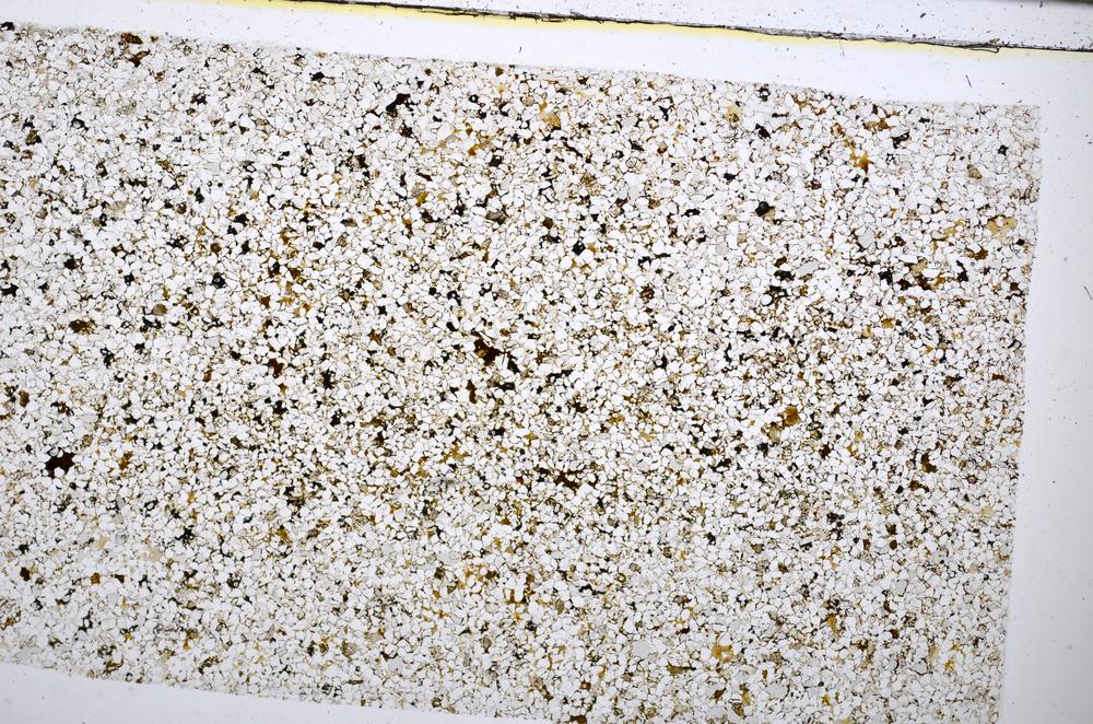 Plane Polarized, E51402