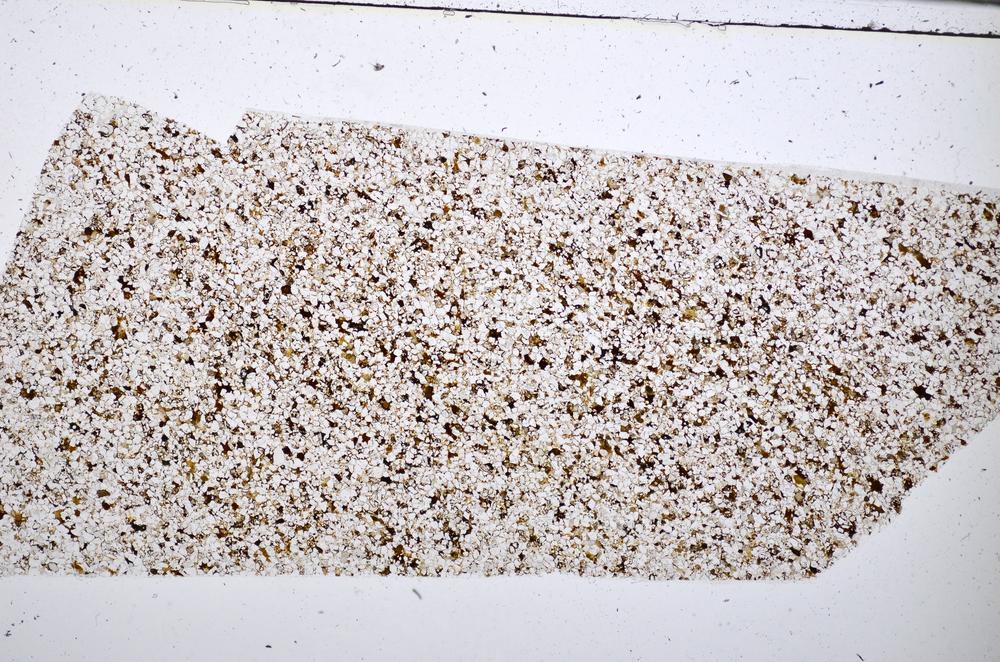 Plane Polarized, E51407