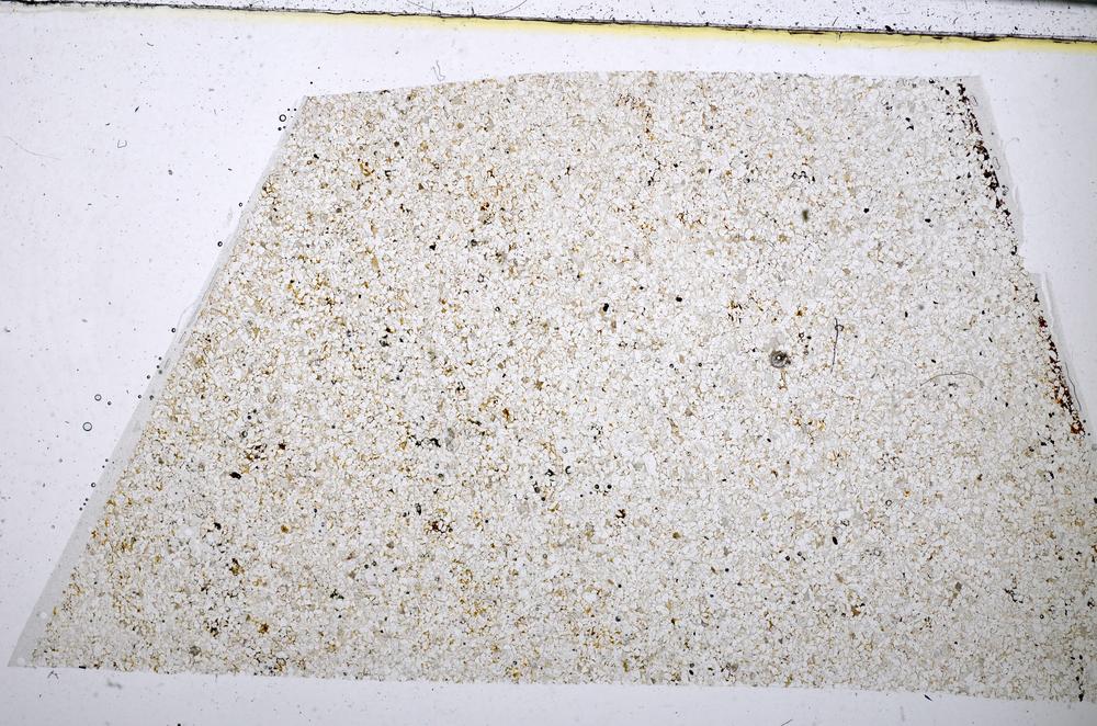 Plane Polarized, E51409