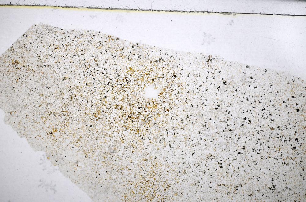 Plane Polarized, E51410