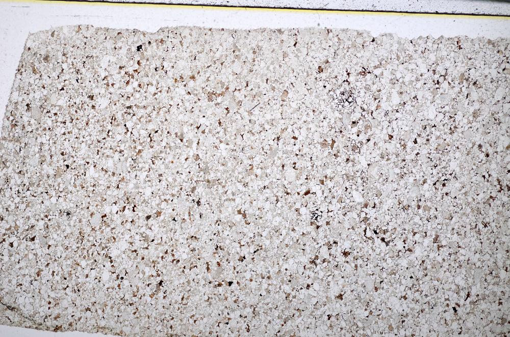 Plane Polarized, E51475/B