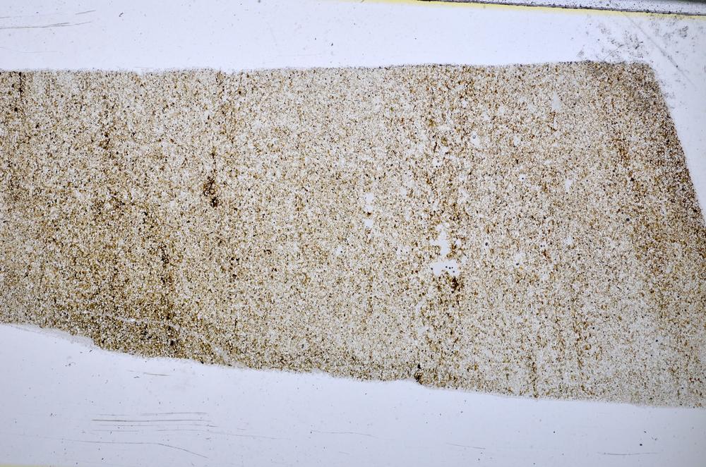 Plane Polarized, E51626/A