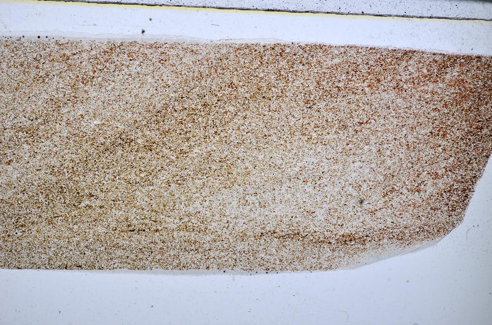 Plane Polarized, E51626/B