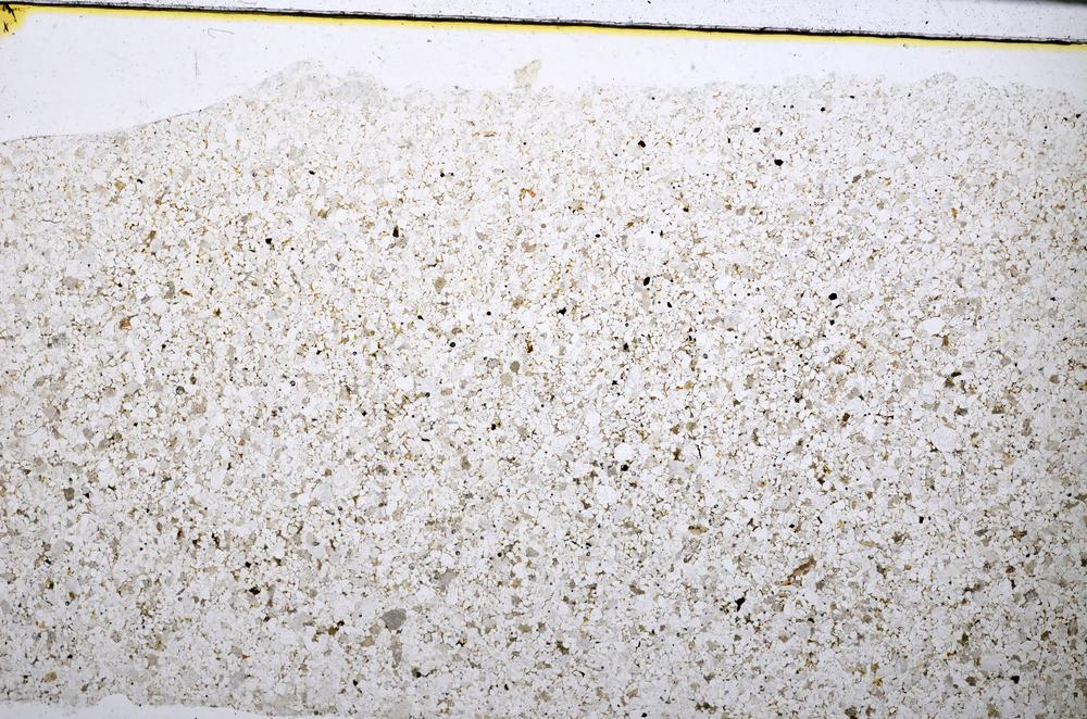 Plane Polarized, E51627/B