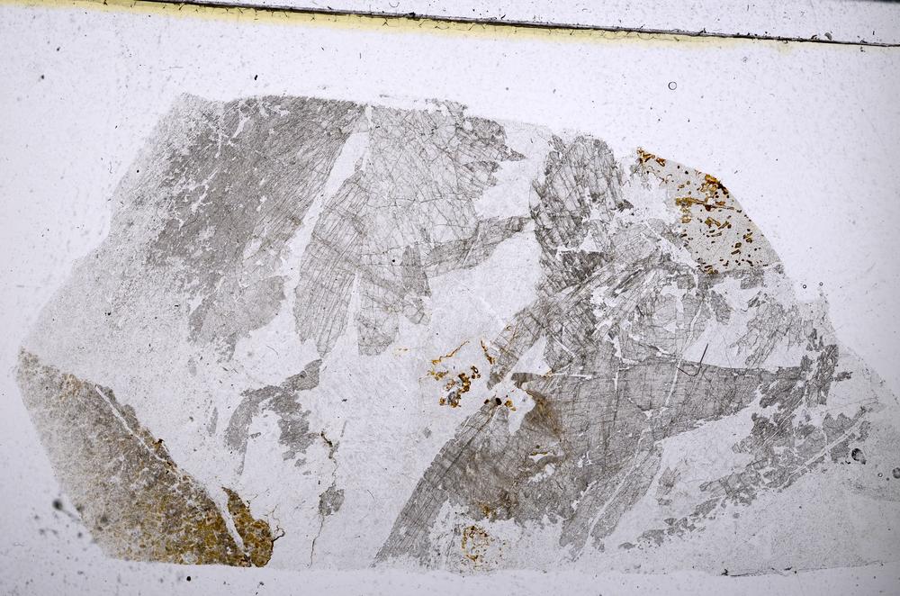 Plane Polarized, E51674
