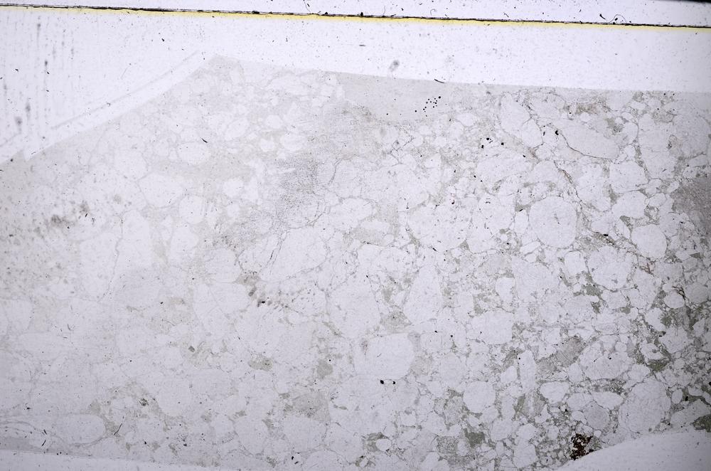 Plane Polarized, E51949