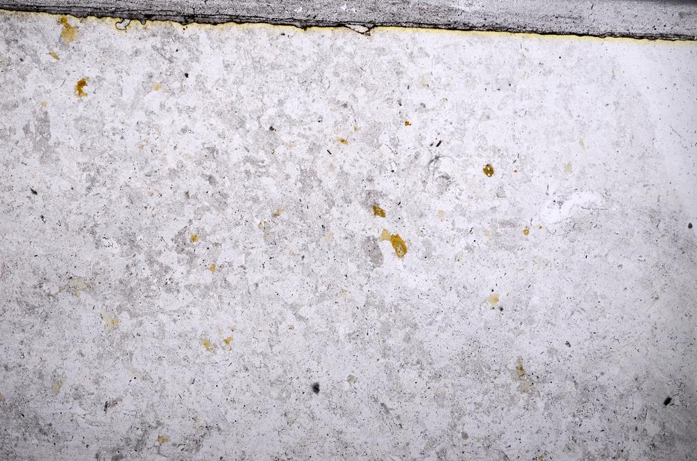 Plane Polarized, E51960