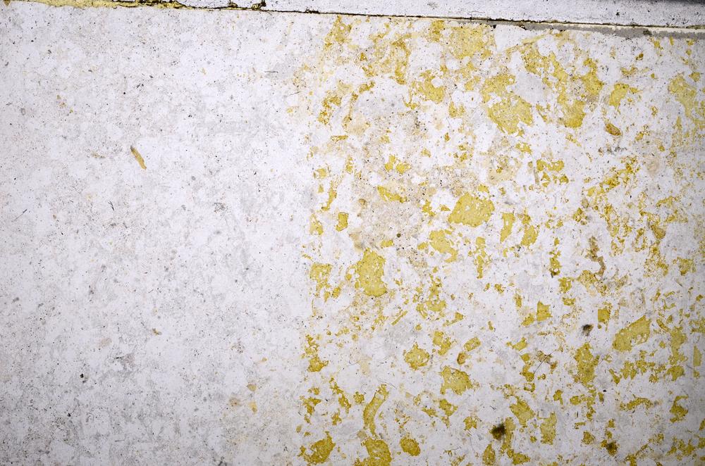 Plane Polarized, E51986
