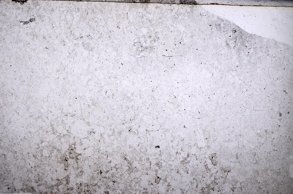 Plane Polarized, E51995