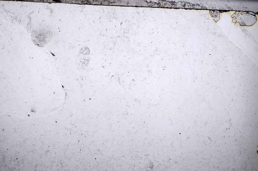 Plane Polarized, E51998