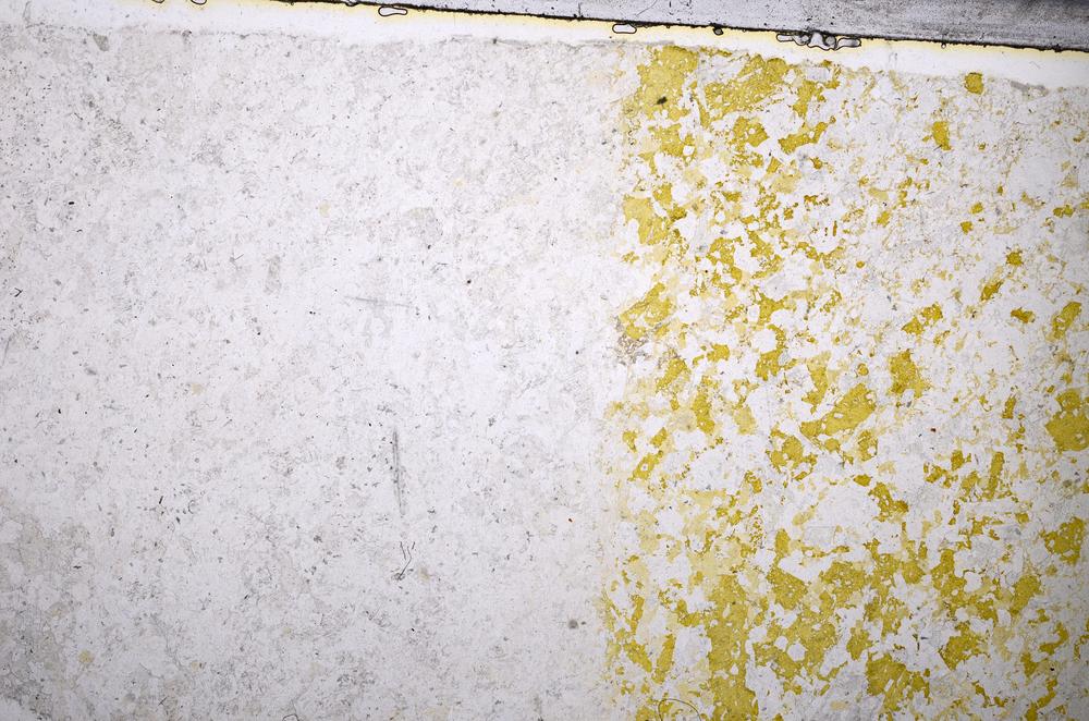 Plane Polarized, E52111