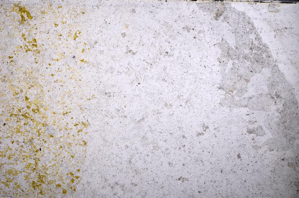 Plane Polarized, E52112