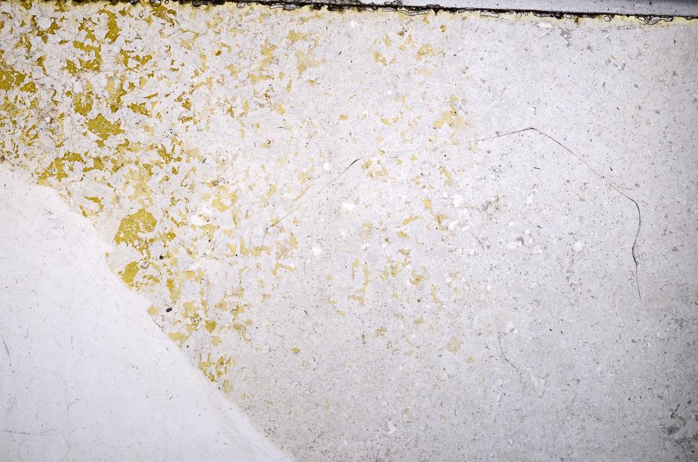 Plane Polarized, E52130