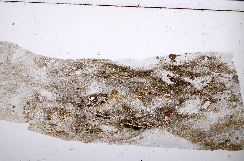 Plane Polarized, E52212