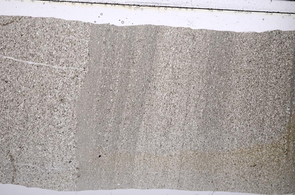 Plane Polarized, E52213