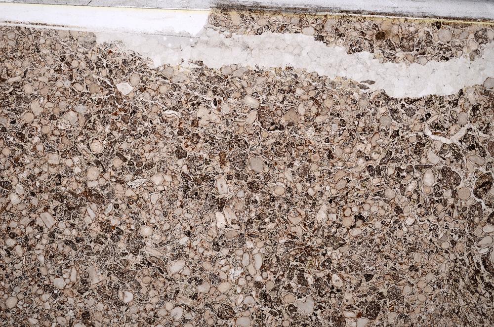 Plane Polarized, E52243