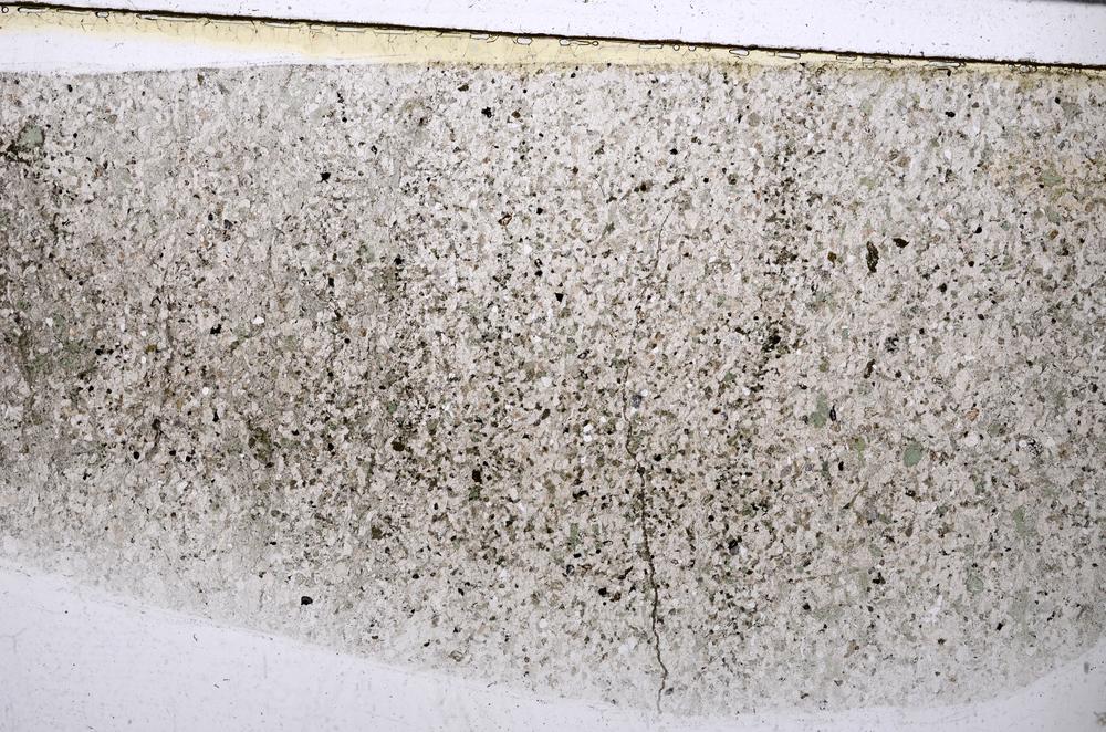 Plane Polarized, E52295