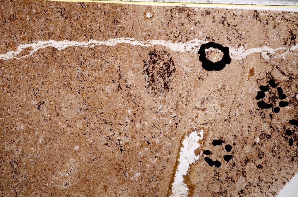 Plane Polarized, E52303