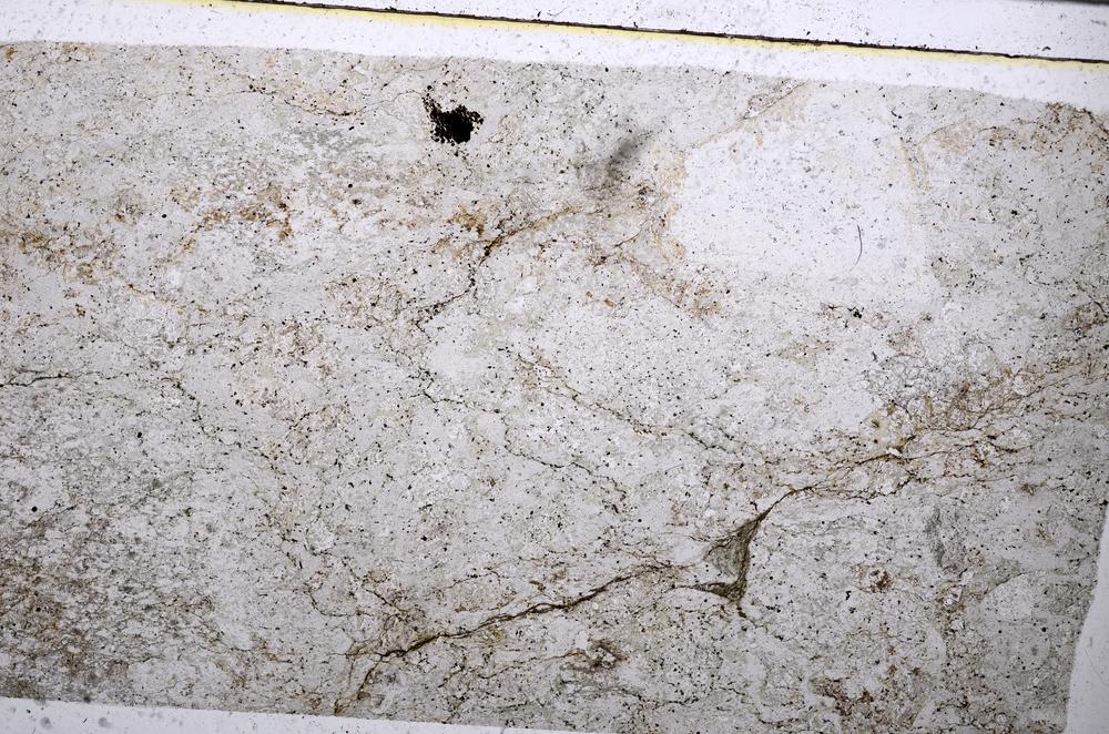 Plane Polarized, E52511