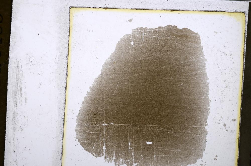 Plane Polarized, E52527