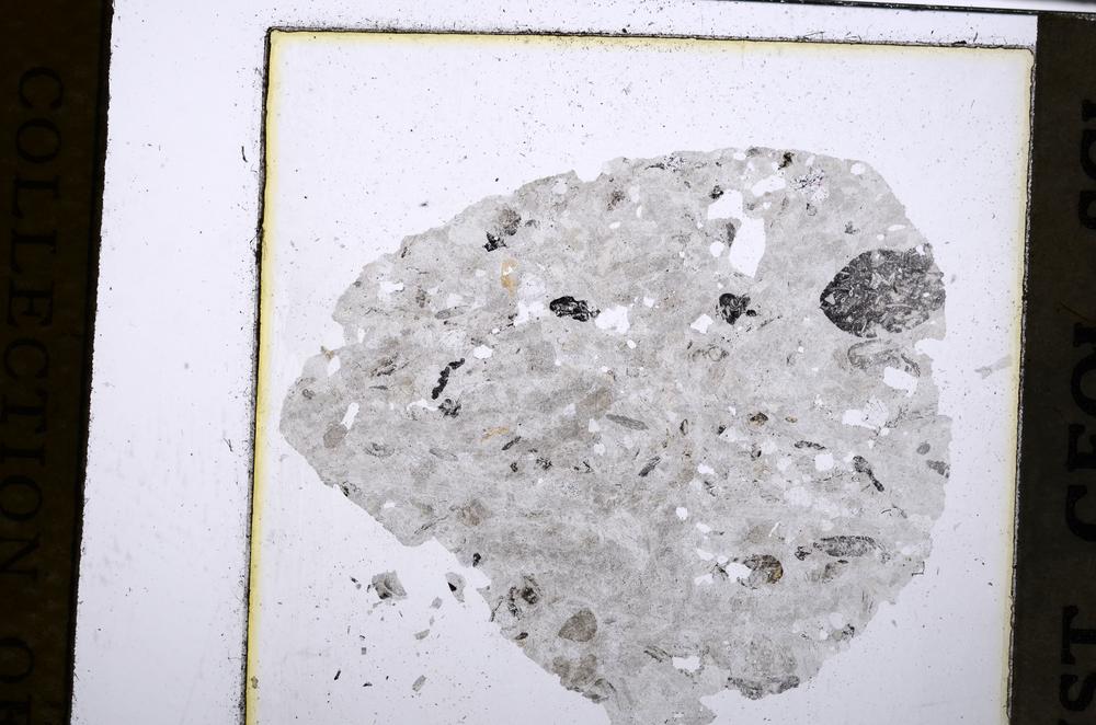 Plane Polarized, E52536