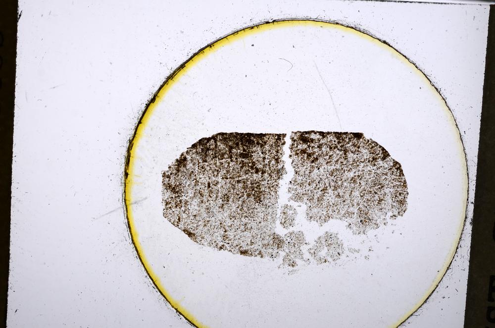 Plane Polarized, E52538/A