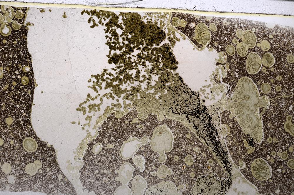 Plane Polarized, E52551