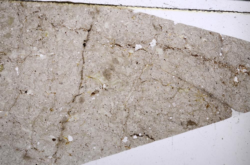 Plane Polarized, E52581