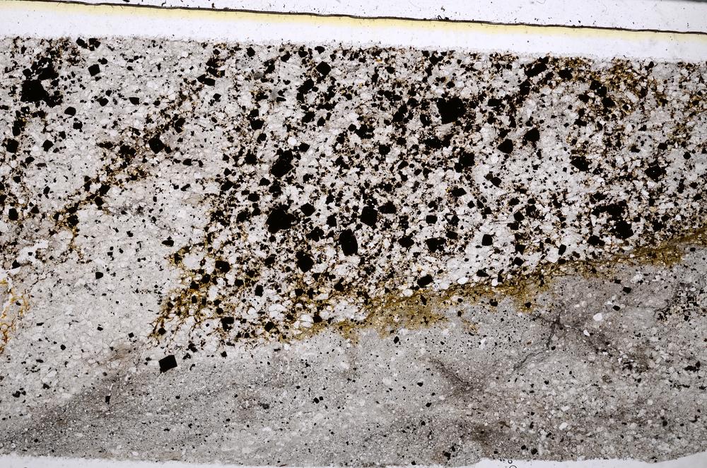 Plane Polarized, E52596