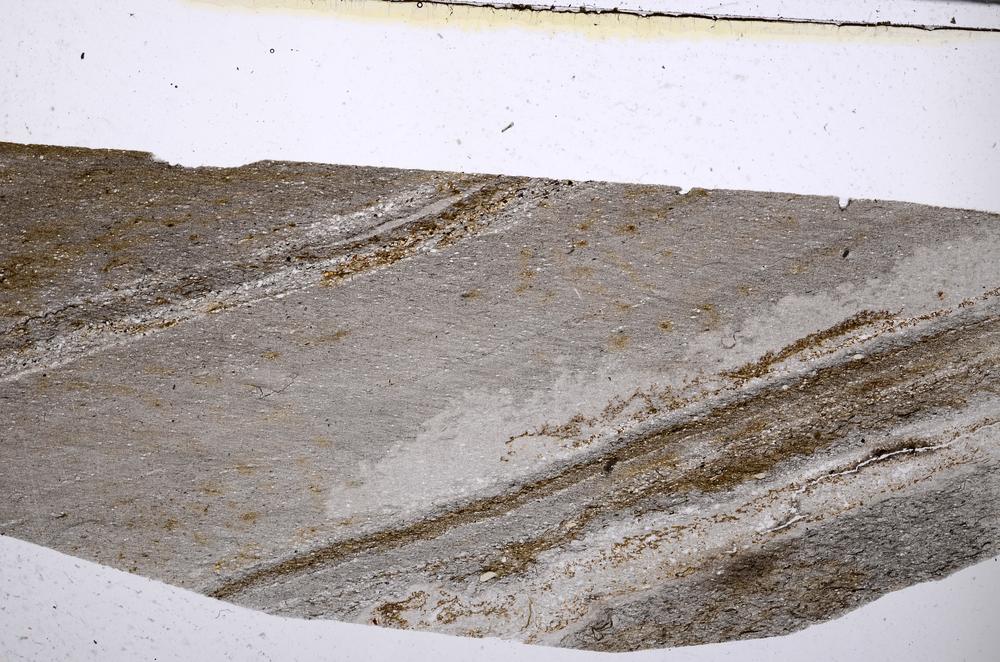 Plane Polarized, E52599