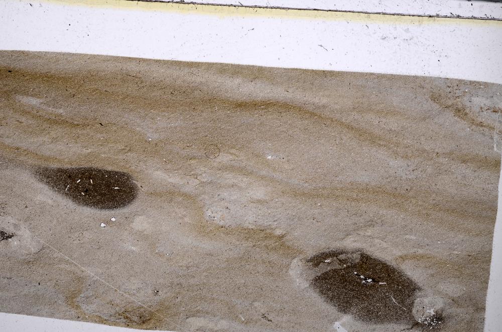 Plane Polarized, E52600