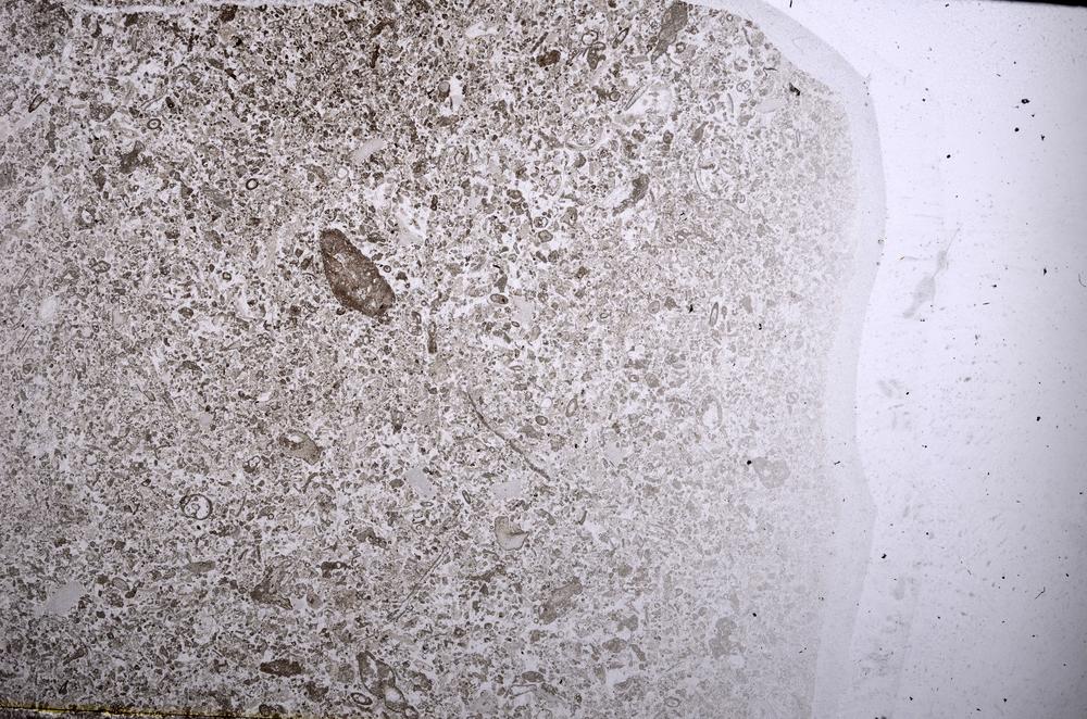 Plane Polarized, E52713