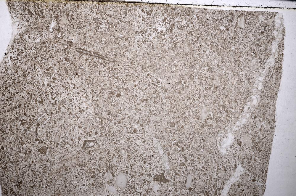 Plane Polarized, E52744