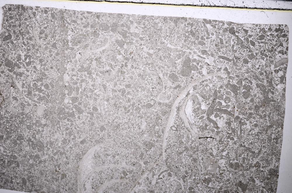 Plane Polarized, E52750