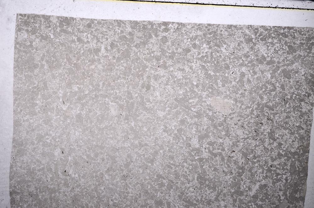 Plane Polarized, E52752