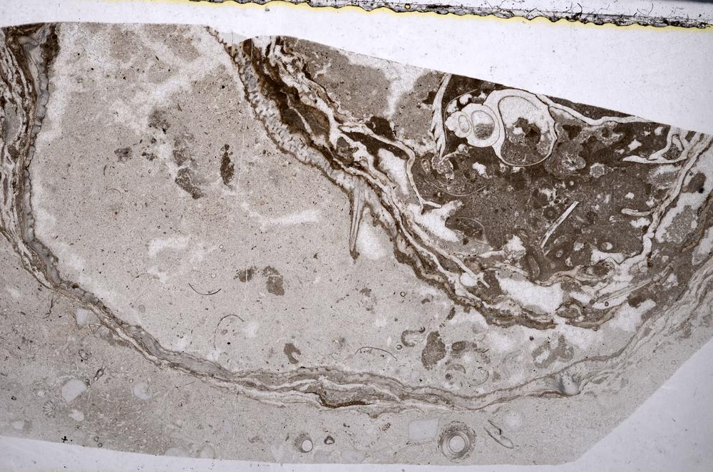 Plane Polarized, E52782