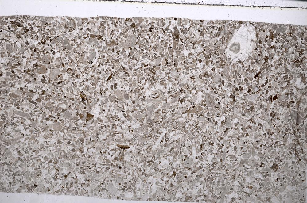 Plane Polarized, E52783