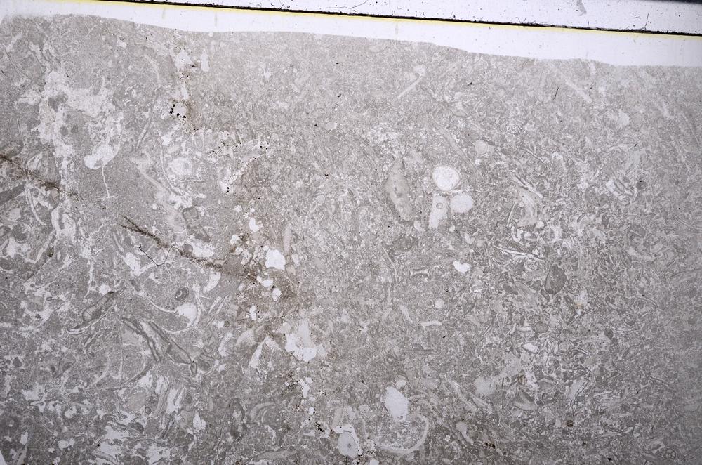Plane Polarized, E52810