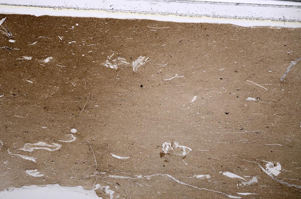 Plane Polarized, E52850