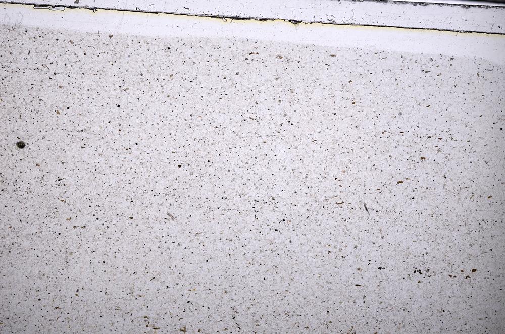 Plane Polarized, E52855