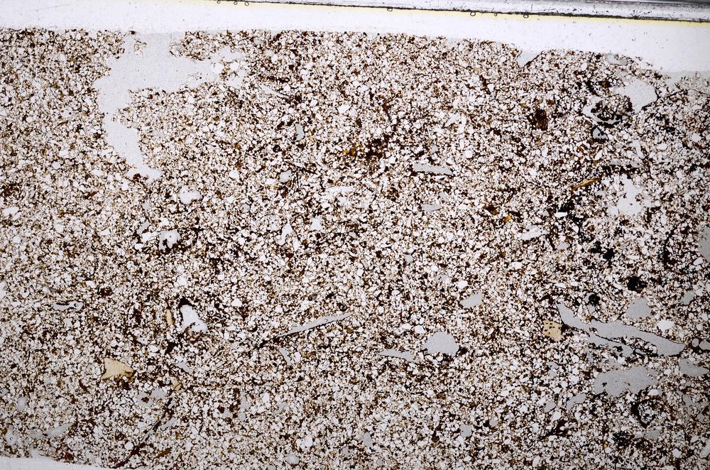 Plane Polarized, E52856