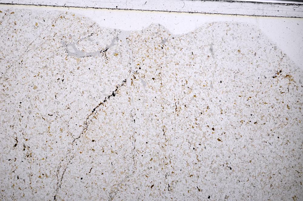 Plane Polarized, E52857