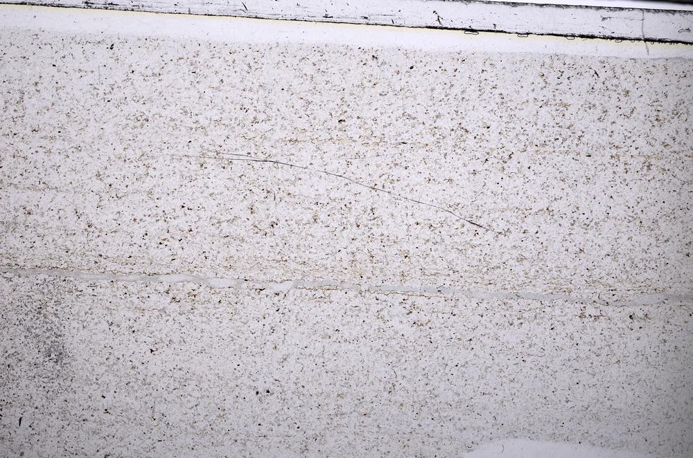 Plane Polarized, E52870