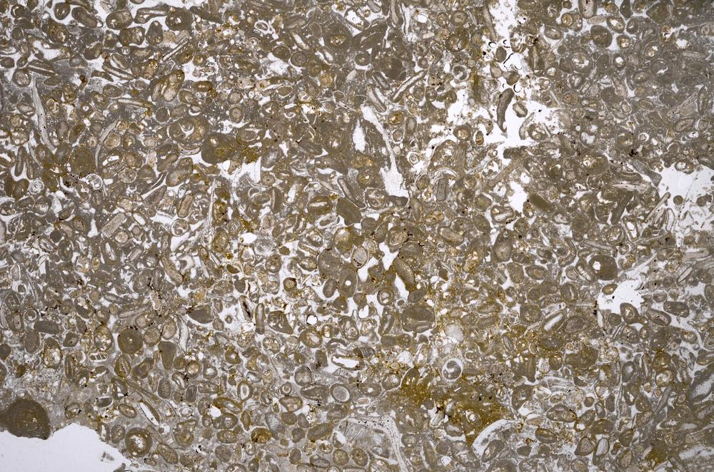 Plane Polarized, E52885